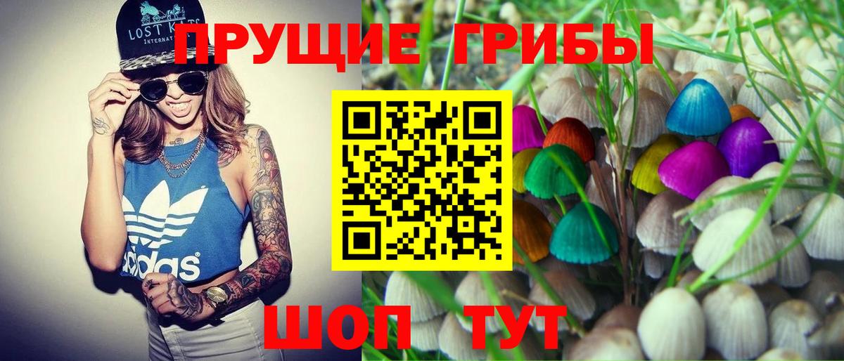 Заволжье  Псилоцибиновые грибы GOLDEN TEACHER  Вход с VPN 