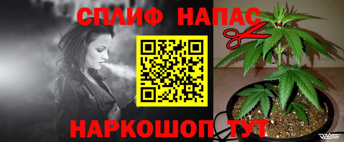 Шишки марихуана семена Заволжье